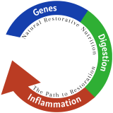Cropped transparent logo nrn.png